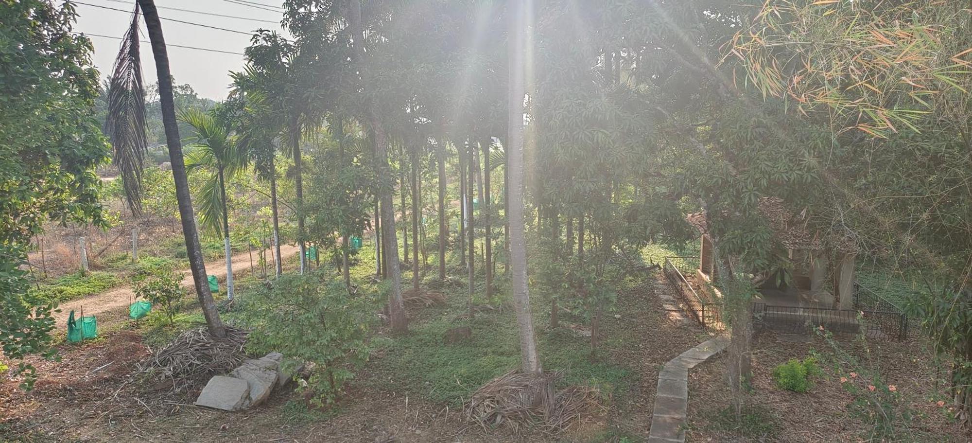 Sugamya Farm Guesthouse Sāgar Habitación foto